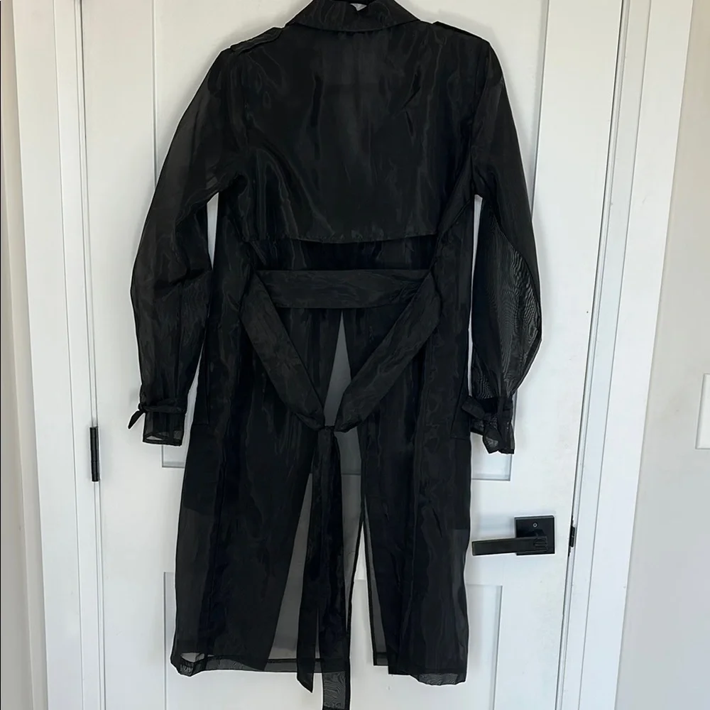 Black Sheer Trench Coat - Picture 6 of 6